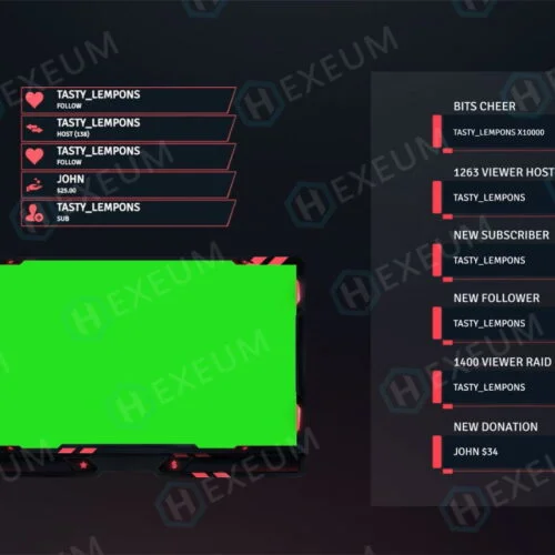valorant webcam overlay