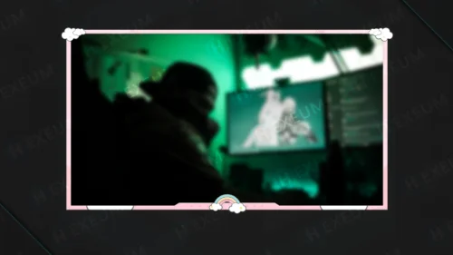 cute webcam overlay