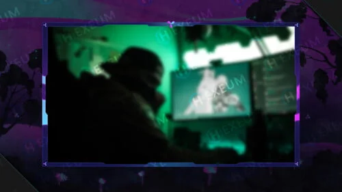 fantasy webcam overlay