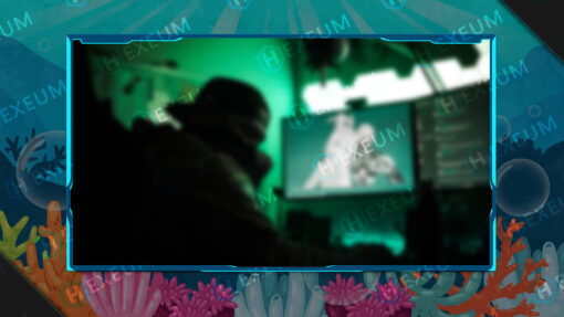 underwater webcam overlay