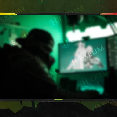 reggae webcam overlay