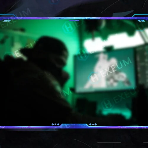 simple webcam overlay