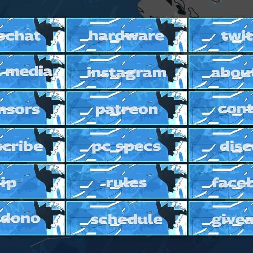Japanese Twitch Panels