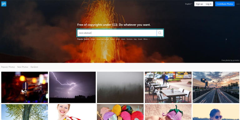 entering a search term on pxhere