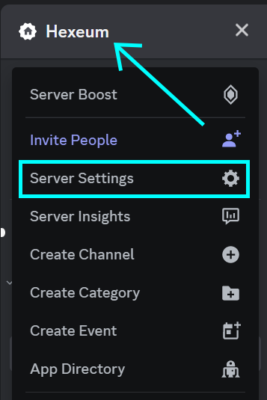 accessing discord server settings