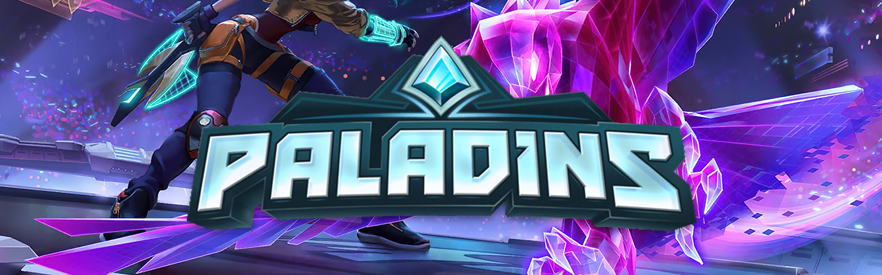 paladins banner